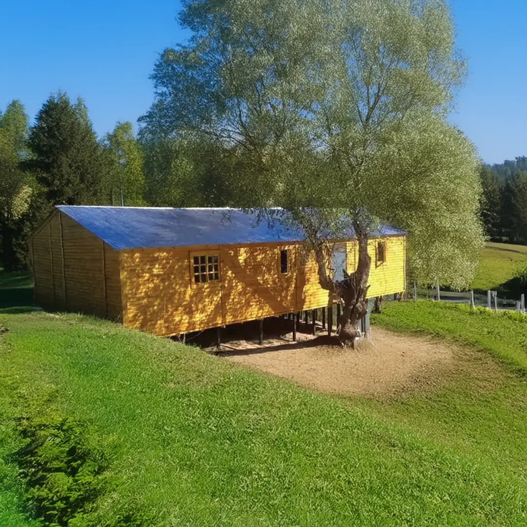 Wendy House